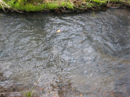 img-4484